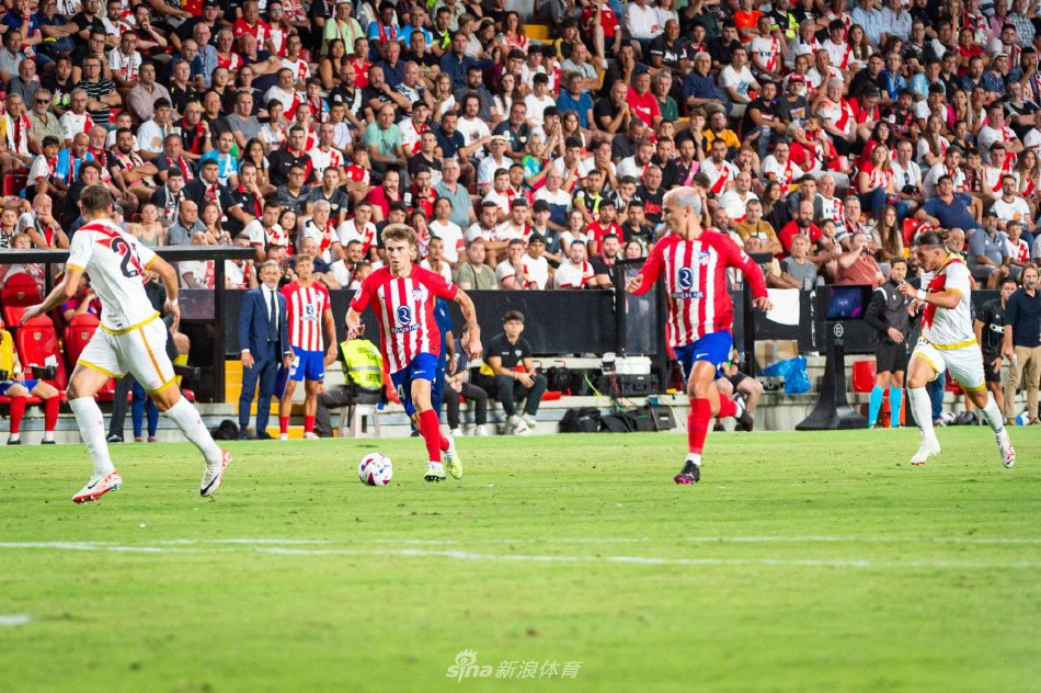 更是拥有强 更是拥有强